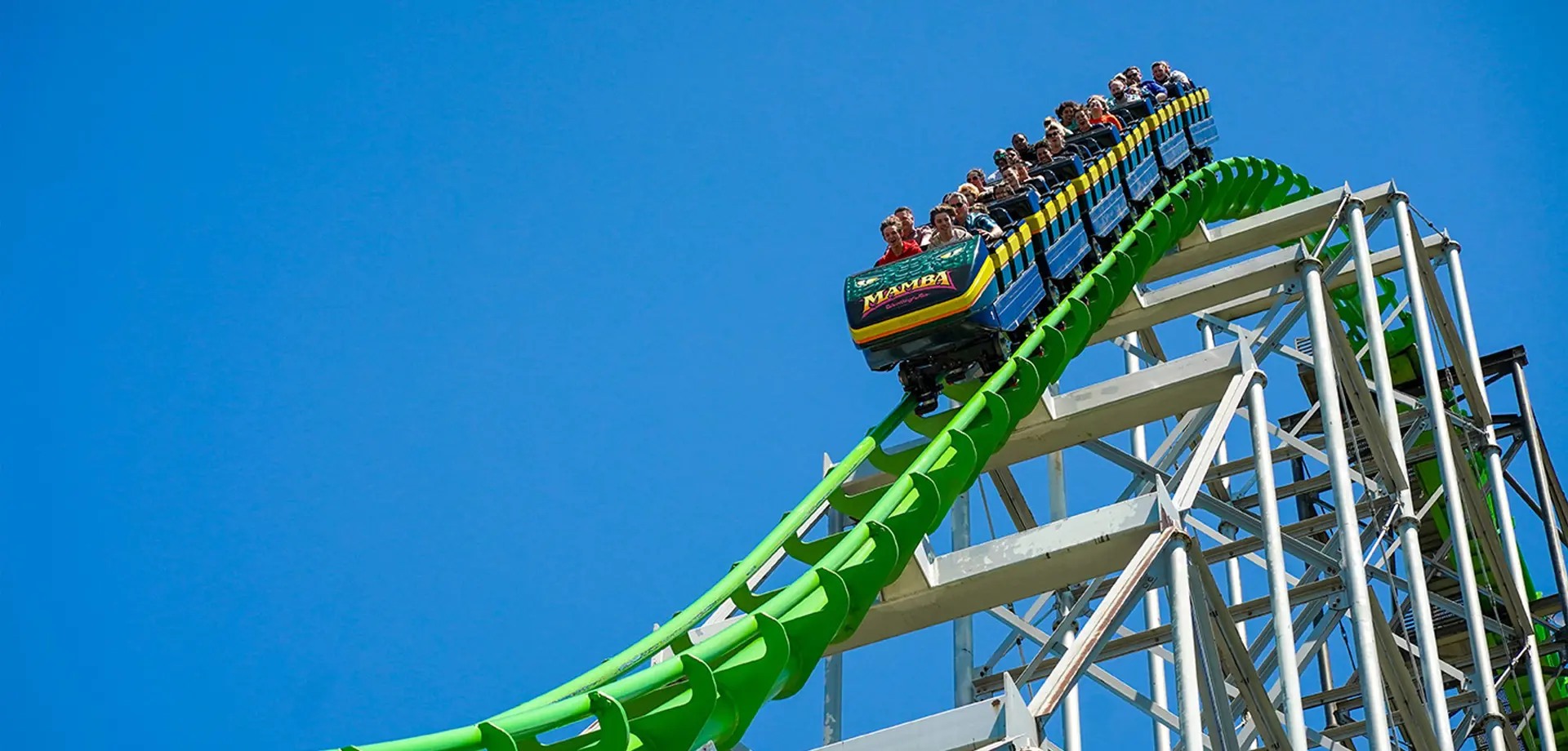 Frequently Asked Questions background image